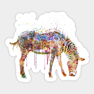 Zebra watercolor painting Sticker